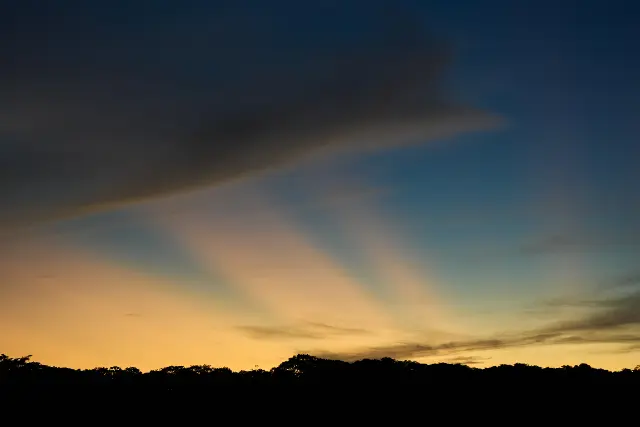 Crepuscular rays stretch across a twilight sky above a dark silhouette of trees.