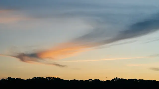 Wispy clouds stretch across a twilight sky above a dark silhouette of trees.